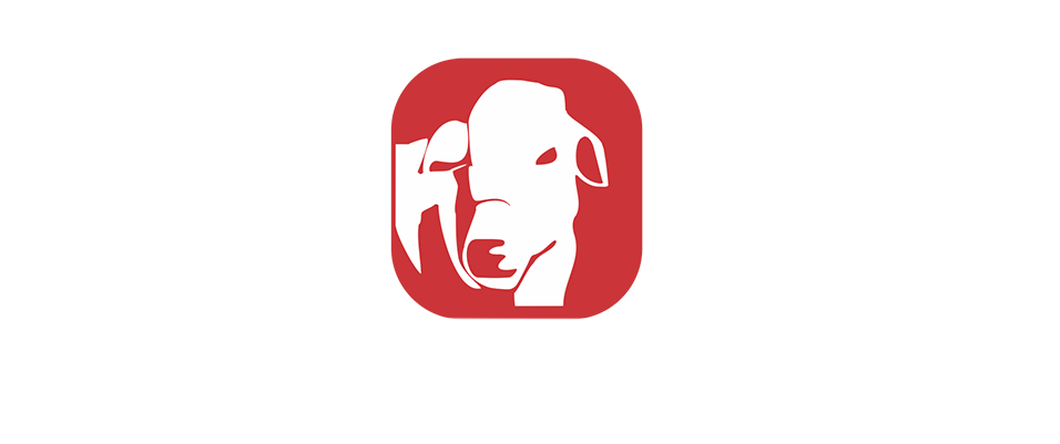 Masterboi