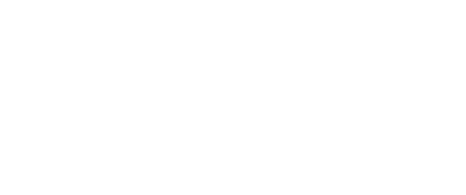 Mega G